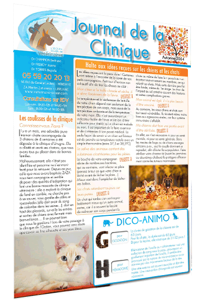 201409-Ocean-JdC-automne-web