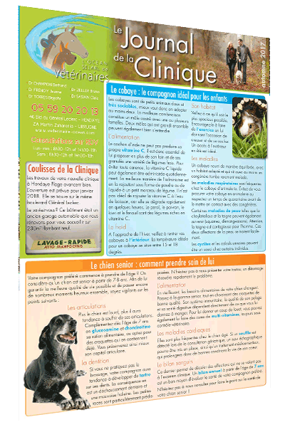 201709-Ocean-JdC-automne-web