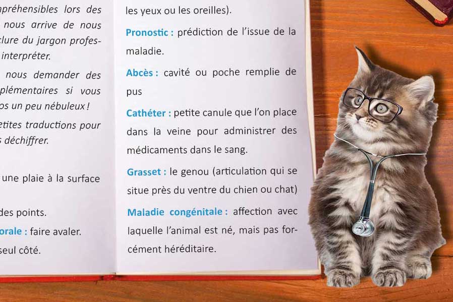 Jargon vétérinaire: nous vous aidons à le comprendre!