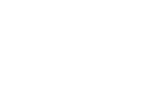 Logo Vétérinaires Plage